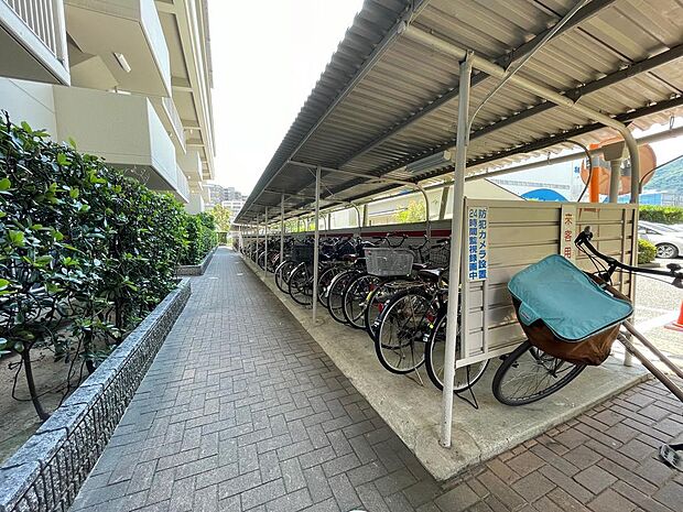 敷地内の整然とした自転車置場です。屋根が備わり雨にも濡れません。防犯面も安心ですね。