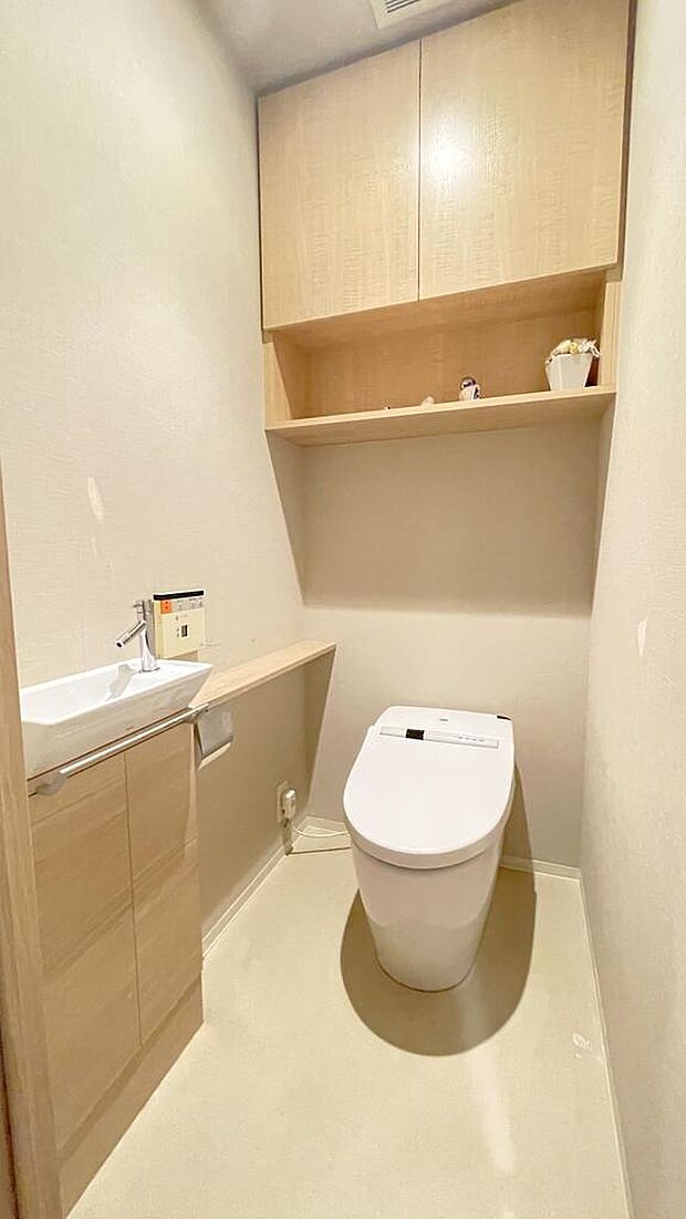 手洗いカウンター付きタンクレスウォシュレットトイレ。小物類やストックなどもしまえる収納付き。室内（2024年6月）撮影
