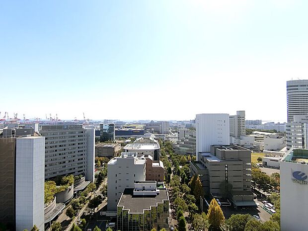 現地からの眺望南側