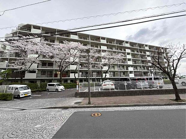 シティ194横浜鴨居(2LDK) 2階のその他画像