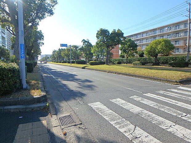 前面道路