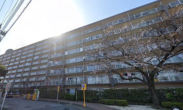 「岩槻スカイハイツ」11階建てマンション、東武野田線「岩槻」駅より徒歩15分の立地