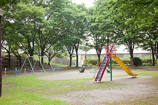 【公園】尾竹橋公園まで570ｍ