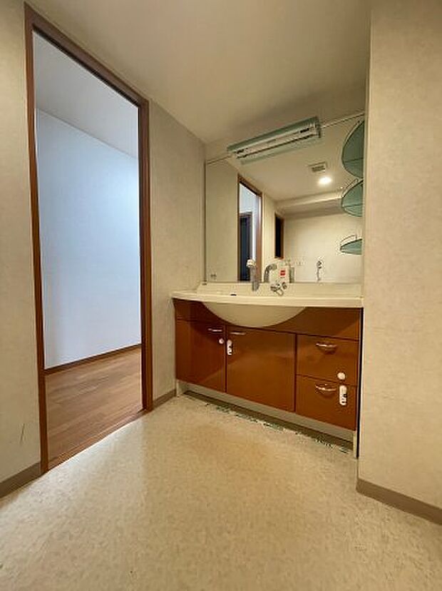 大きな鏡のシャワー付き独立洗面台