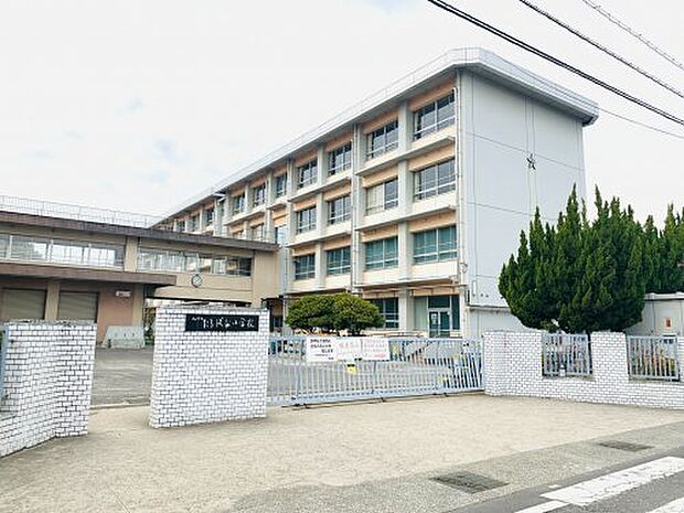 【小学校】松山市立たちばな小学校まで337ｍ