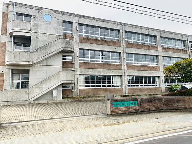 【小学校】松山市立みどり小学校まで1164ｍ