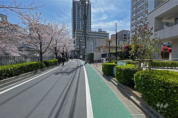 敷地北東側の前面道路（北西側から）