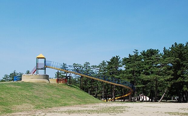 【浜寺公園】徒歩8分。「名松100選」にも選ばれている、美しい松林がある公園です。園内にはジャイアントスライダーのあるプール、ばら庭園、交通遊園等が設けられ、子どもから大人まで楽しむことができます。