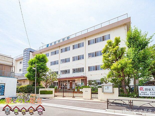 葛飾区立新宿中学校 撮影日(2021-07-12) 530m
