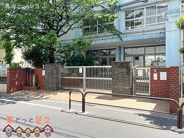 足立区立千寿常東小学校 撮影日(2023-05-05) 800m