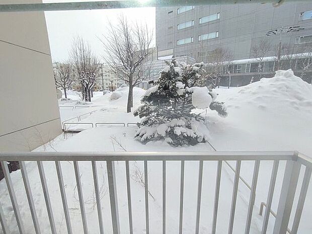 【専用庭】専用庭の様子です。雪のない季節はちょっとした園芸なども楽しめそうです♪