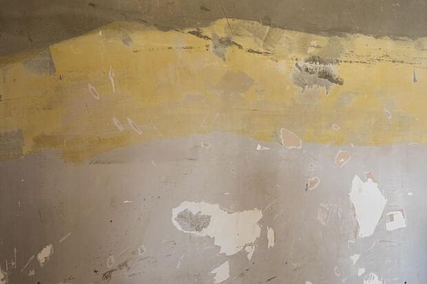 壁面や天井にあえて塗装やクロス等をあしらわず、コンクリートならではの風合いを残した部分も。