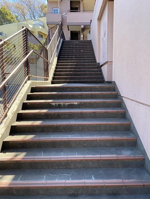 マンションへ入るための階段です。