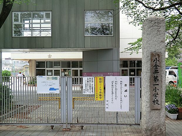 小学校 550m 小金井市立第一小学校