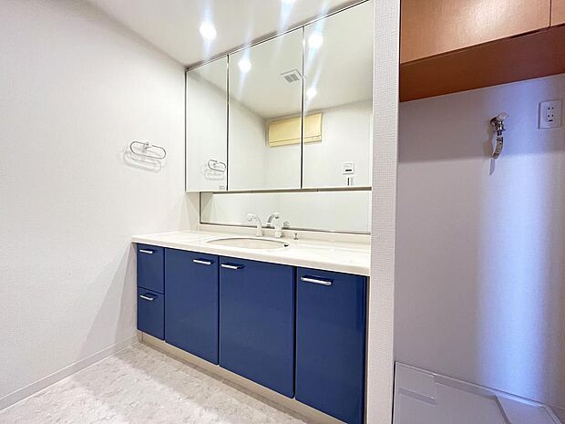 大きなボウルのシャワー付き３面鏡独立洗面台！！ちょっとした洗濯もできちゃいます♪