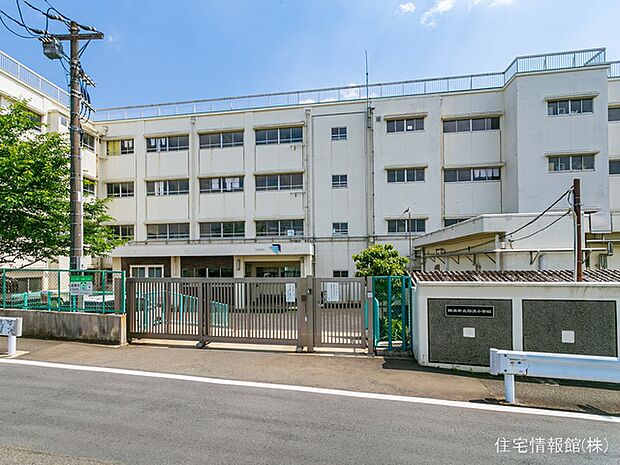 横浜市立羽沢小学校まで約990m（徒歩13分）