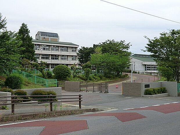 成田市立平成小学校　徒歩19分（約1500m)