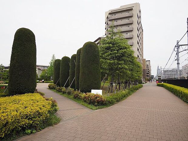 敷地内の公園もよく手入れがされており、都会にいながら敷地内で緑を感じることができます。