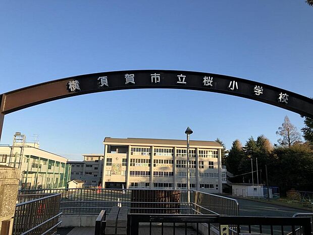 通学する桜小学校です。