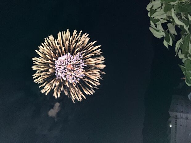 8月1日の湖上蔡の花火の現地写真です。