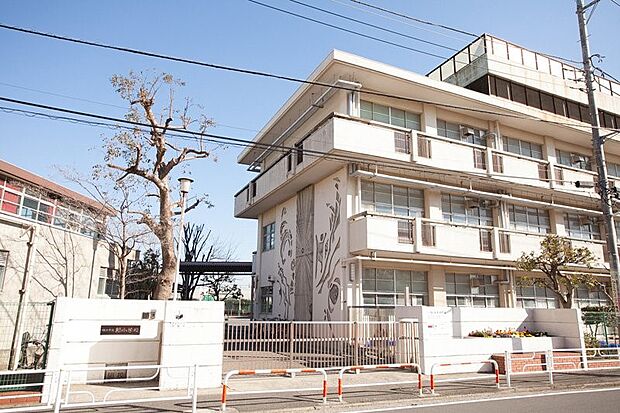 小学校 1220m 横浜市立緑小学校(少子高齢化が進む昨今ですが、生徒数800名以上のマンモス校！！)