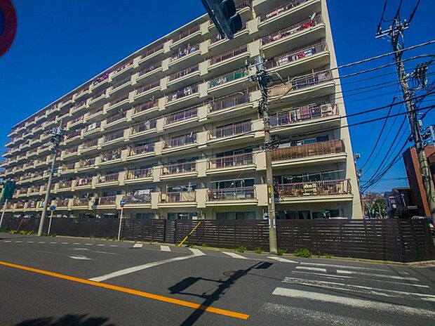 川口サマリヤマンション(2LDK) 8階のその他画像