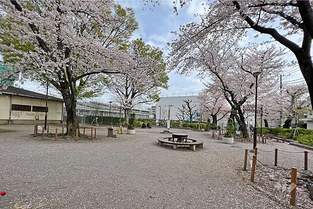 東調布公園の外観