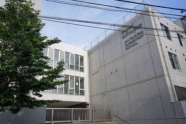 松沢小学校[公立]の外観