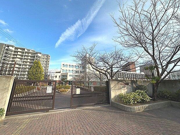 大阪市立難波中学校 730m