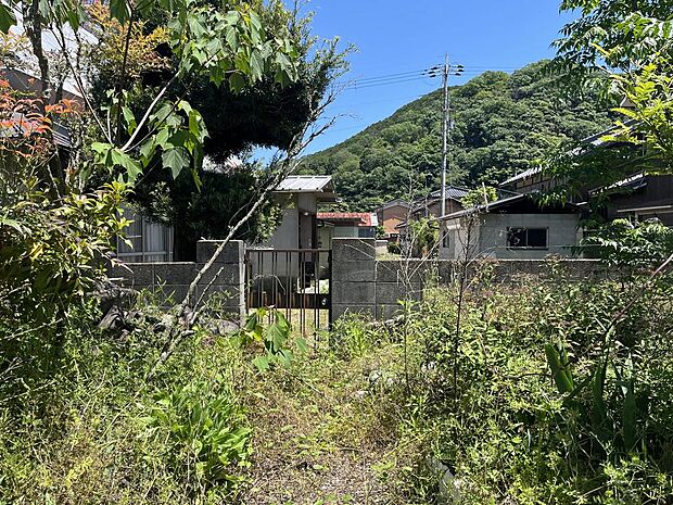 自然たっぷり！緑豊かな住宅街のお住まいです。