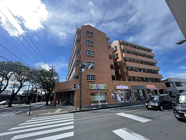 ライオンズマンション桜ヶ丘駅前(1K) 3階のその他画像