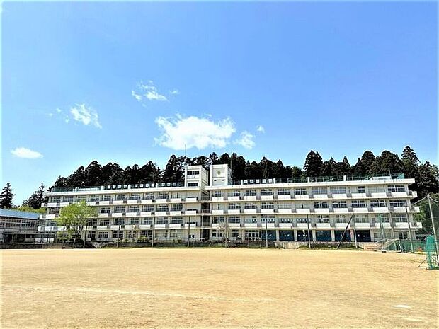 仙台市立第一中学校 710m