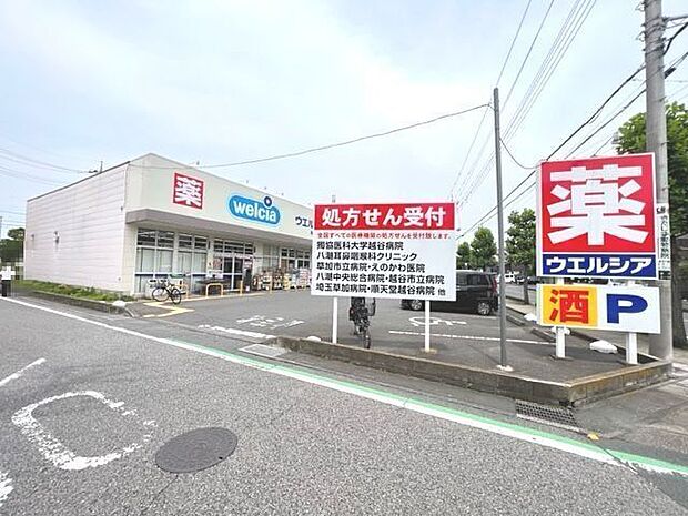 ウエルシア草加手代店 540m