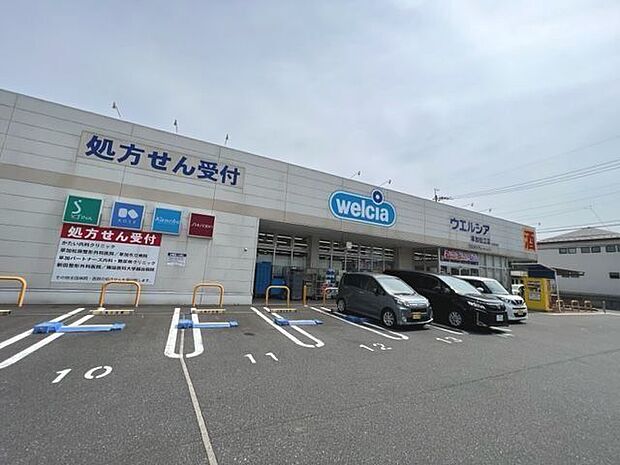 ウエルシア草加松江店 250m