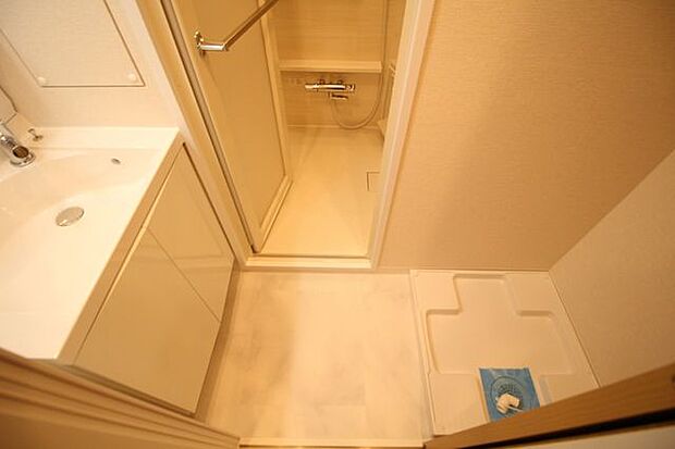 洗面所は小さなプライベートスペース。爽やかなスペースになるように設計されています。