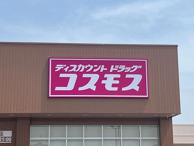 ドラッグコスモス 一宮奥町店 1370m