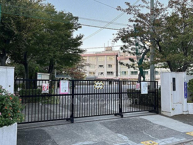 江戸川区立北小岩小学校（約550ｍ）