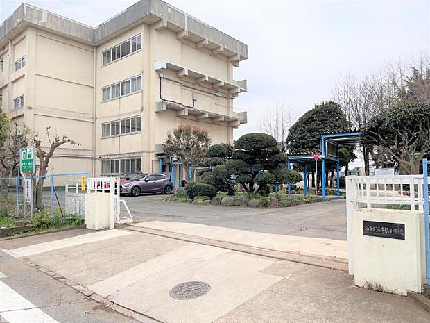 酒井根小学校