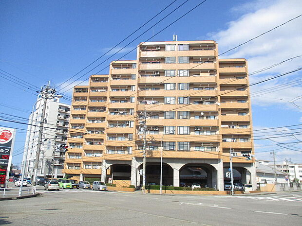 ダイアパレス泉本町(4LDK) 8階/M809の外観