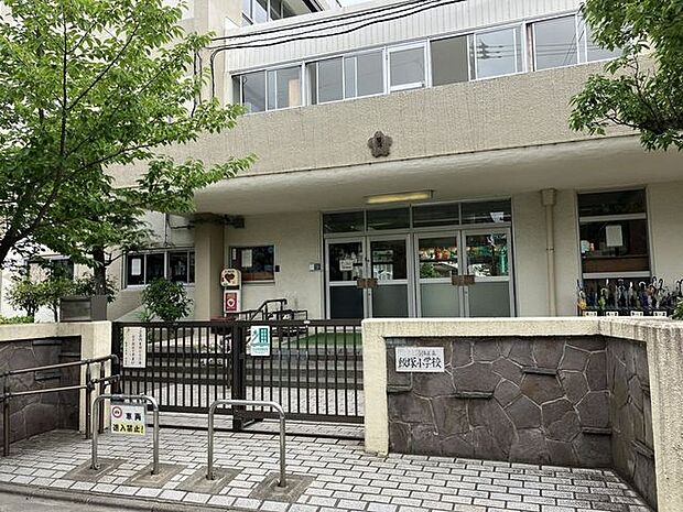葛飾区立飯塚小学校 290m