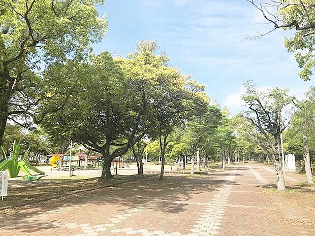 文化の森宮崎中央公園宮崎市中心部に位置し隣接する総合体育館や中央公民館。科学技術館と共に「文化の森」として広く市民に親しまれている公園です。 730m