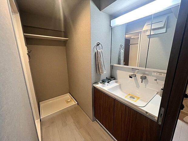 収納スペースも兼ね備えたシャワー水栓付洗面化粧台
