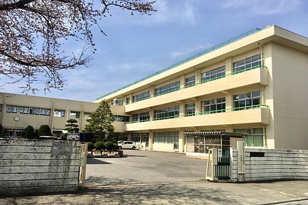 【小学校】中央小学校まで1557ｍ