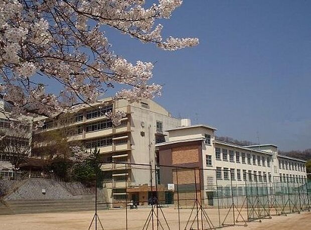 【中学校】神戸市立夢野中学校まで437ｍ