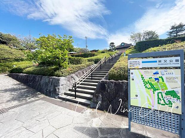 【柴又公園まで徒歩7分♪】 柴又公園は、日本庭園のある山本亭や寅さん記念館を含み、葛飾区の観光名所の一つになっています。また、江戸川河川敷の広場はレクリエーション・スポーツの場として利用されています。