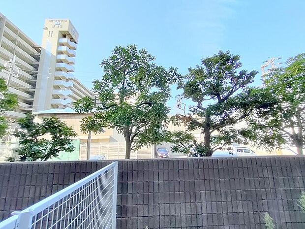 阪神住建リバーサイドヴィラ姫島(2LDK) 1階/102のその他画像