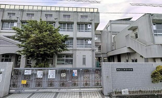 【小学校】堺市立上野芝小学校まで815ｍ
