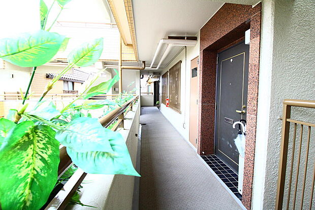 共用部廊下。共用部の随所に植物・緑があり、癒し空間になっています。