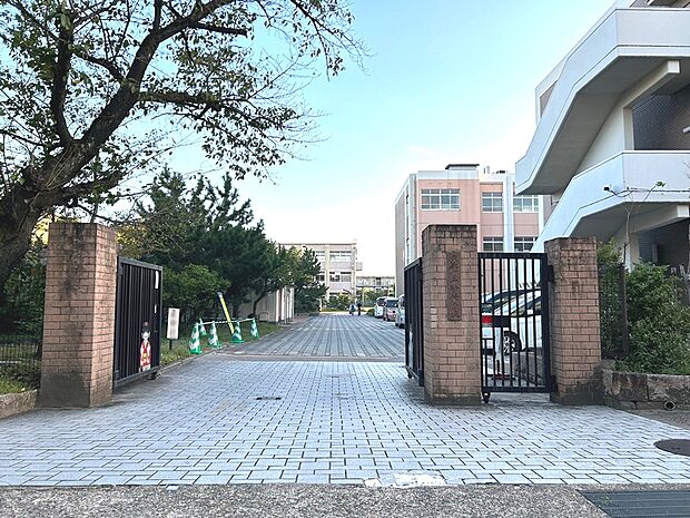 京都市立藤森中学校（1369m）