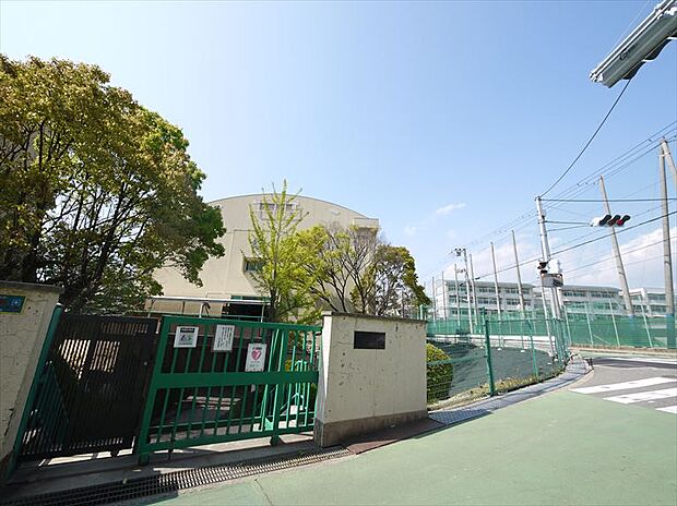 【小学校】神戸市立　乙木小学校まで578ｍ